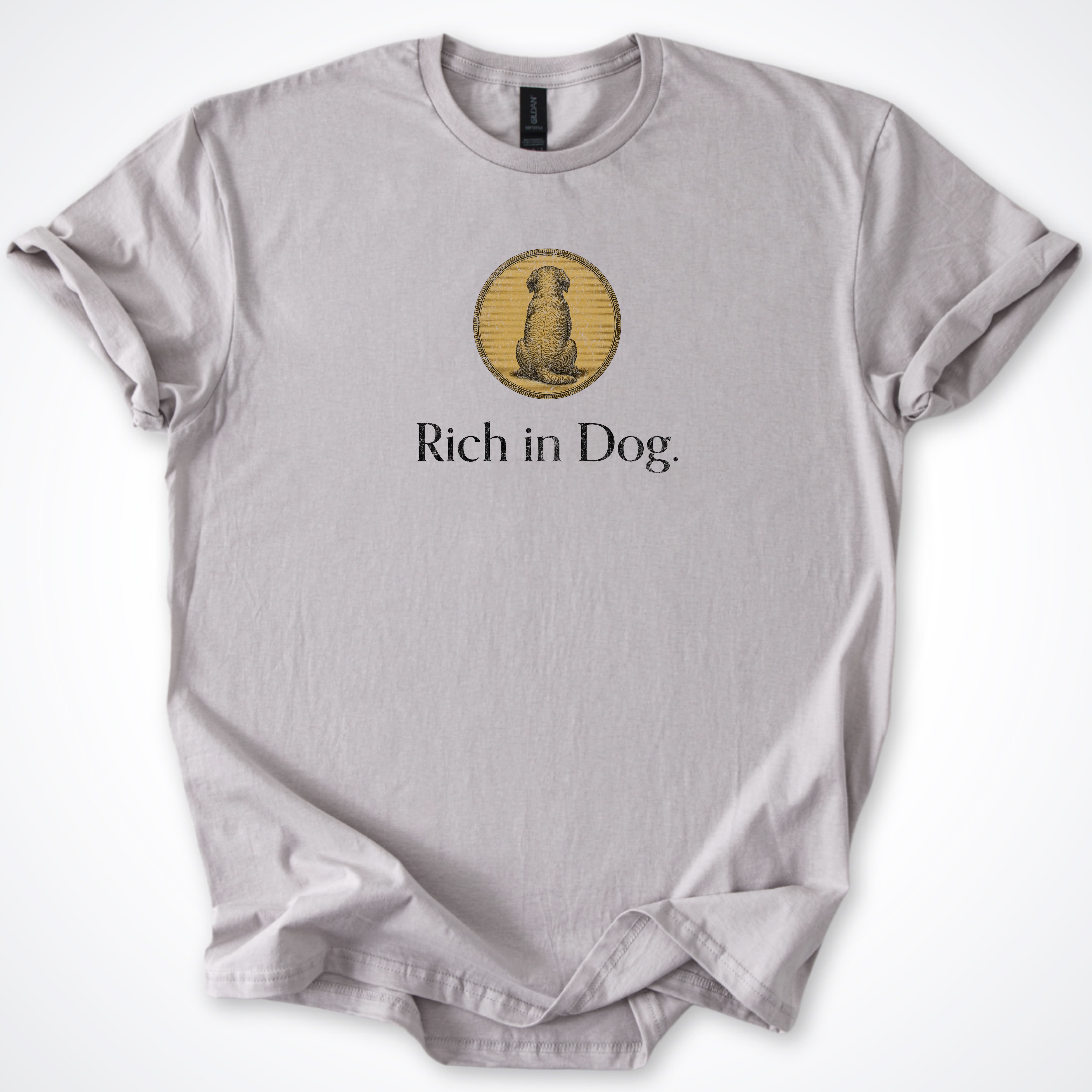 T-Shirt Ice Grey / S Rich in Dog Coin Classic T-Shirt ReallyintoDogs