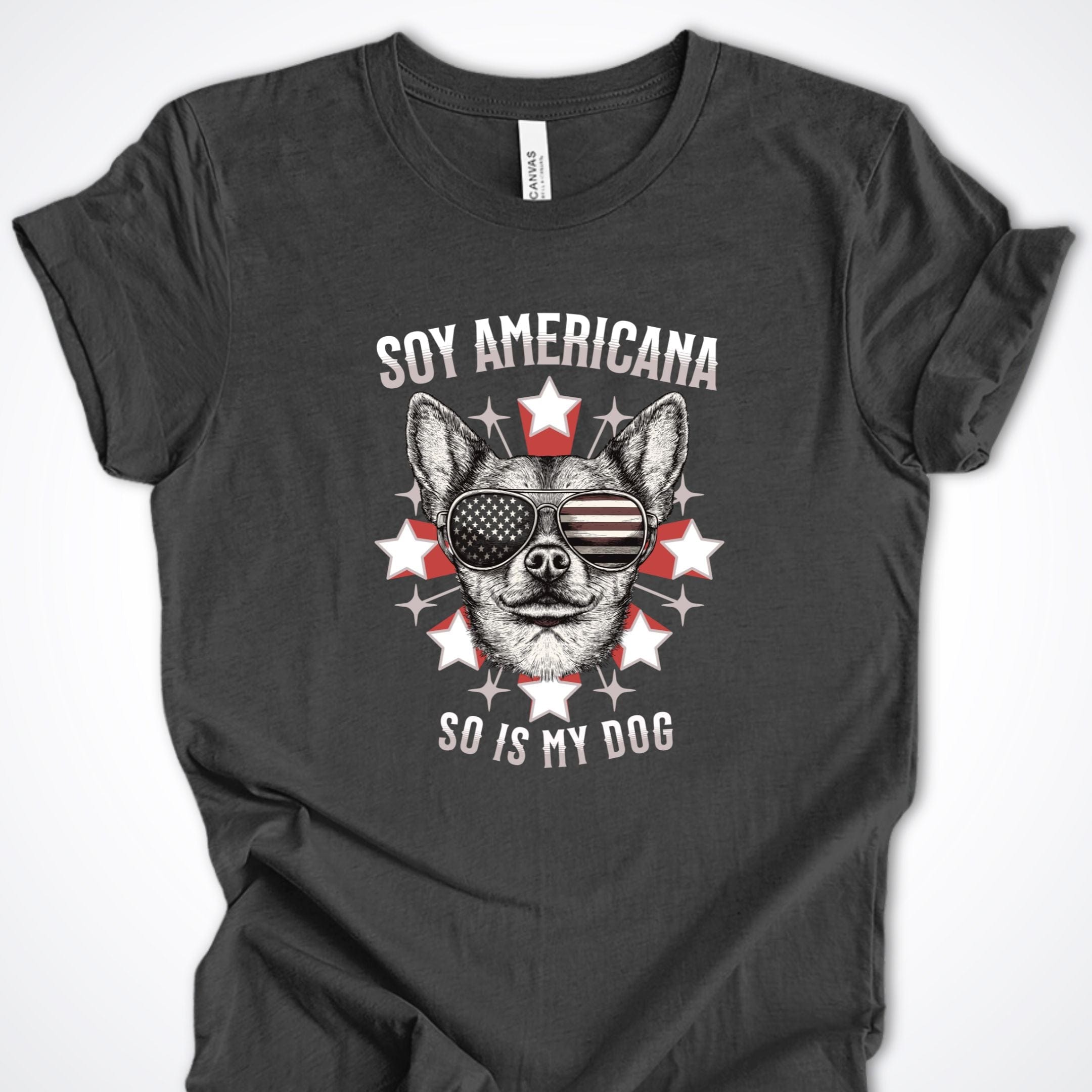 T-Shirt Dark Grey Heather / S Soy Americana So Is My Dog ReallyintoDogs