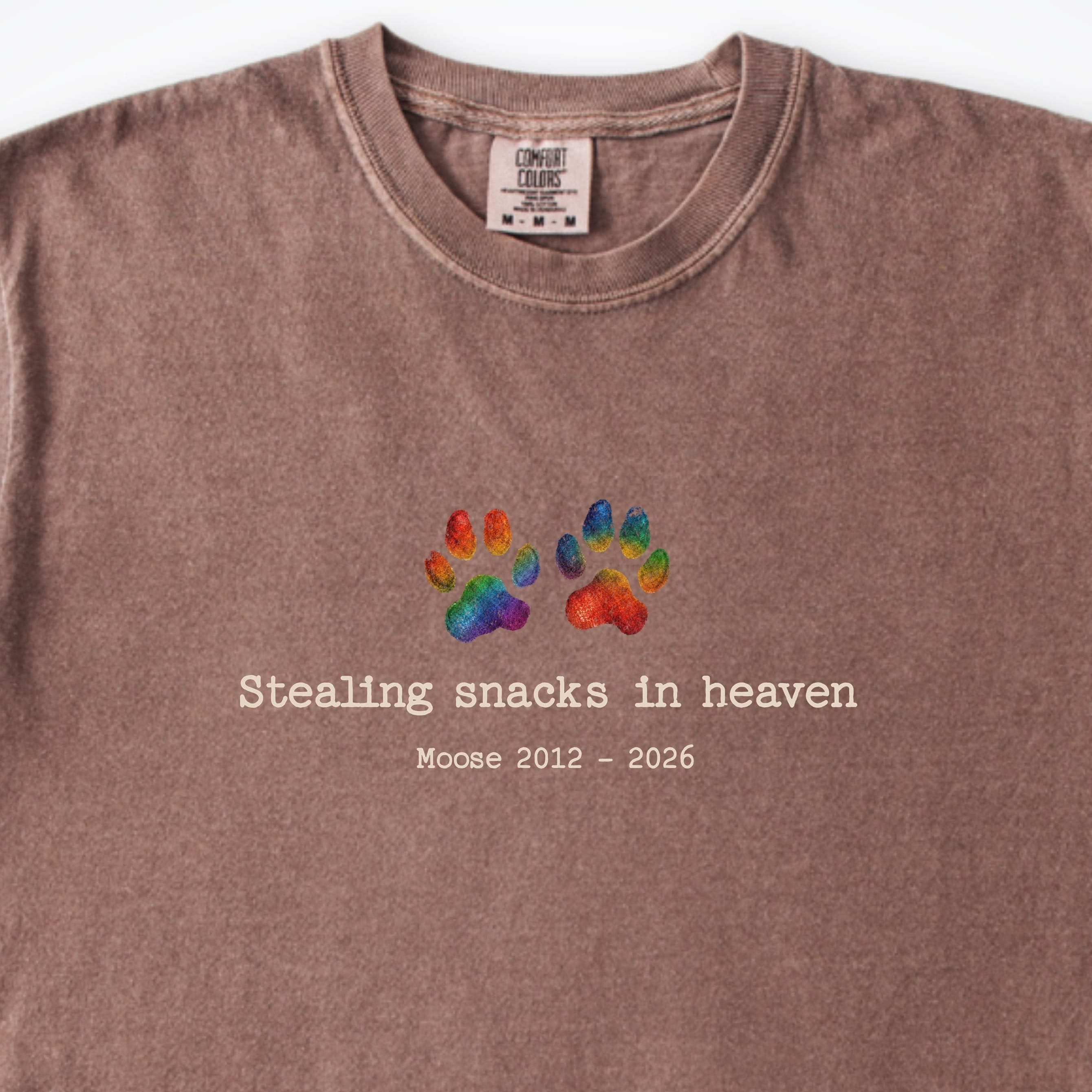 T-Shirt Stealing Snacks In Heaven - Personalized Memorial Premium T-Shirt ReallyintoDogs