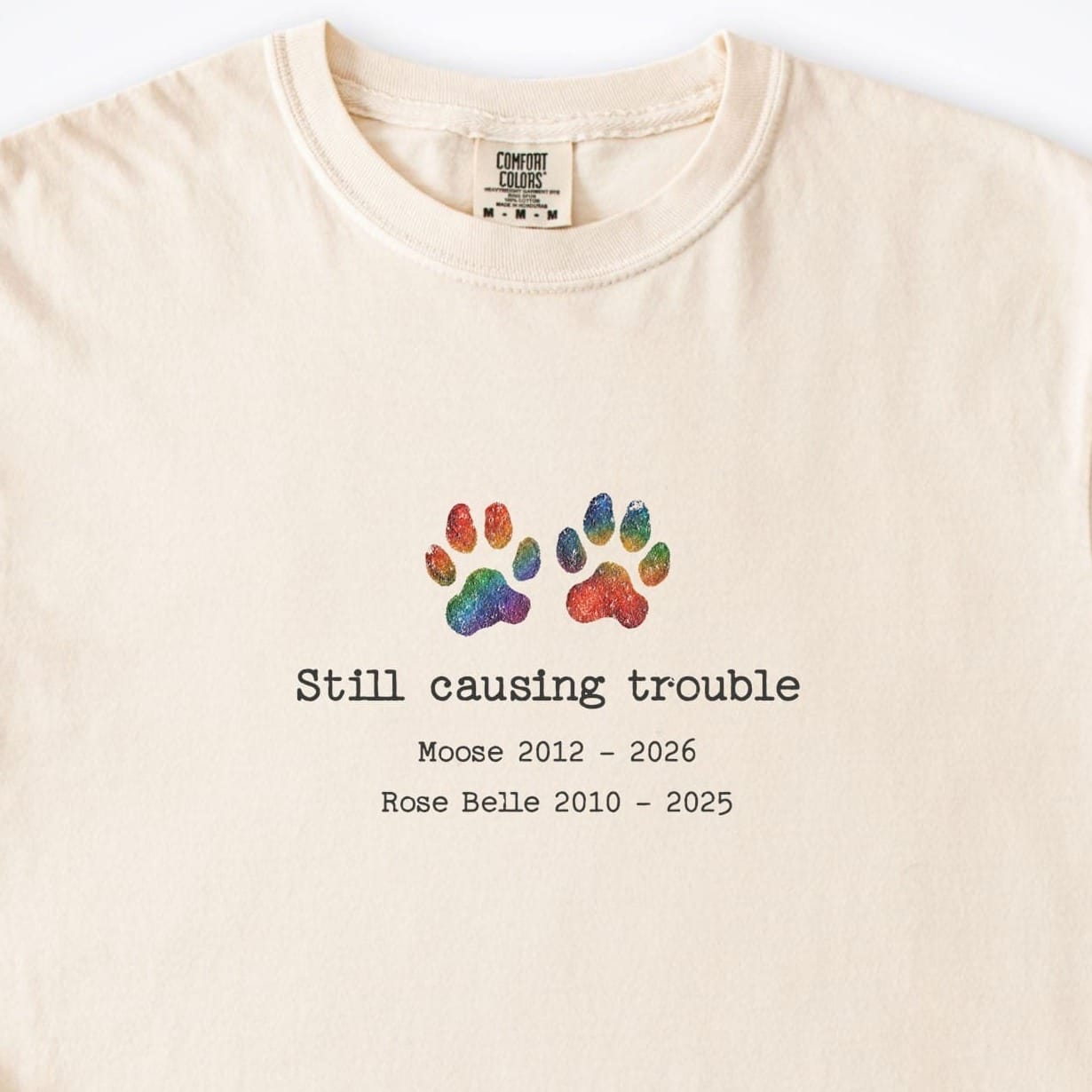 T-Shirt Still Causing Trouble 2 Dogs - Personalized Memorial Premium T-Shirt ReallyintoDogs