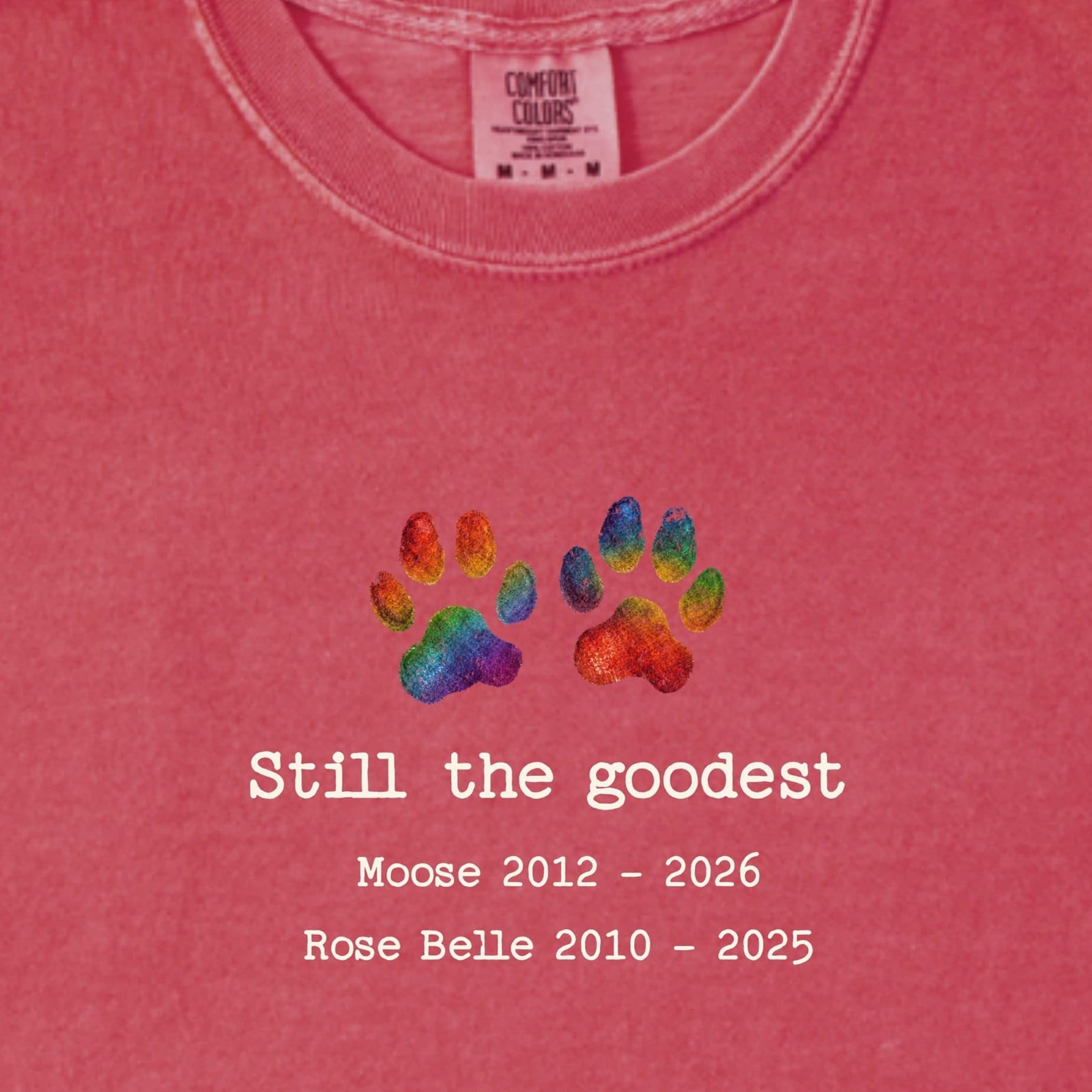 T-Shirt Still The Goodest 2 Dogs - Personalized Memorial Premium T-Shirt ReallyintoDogs