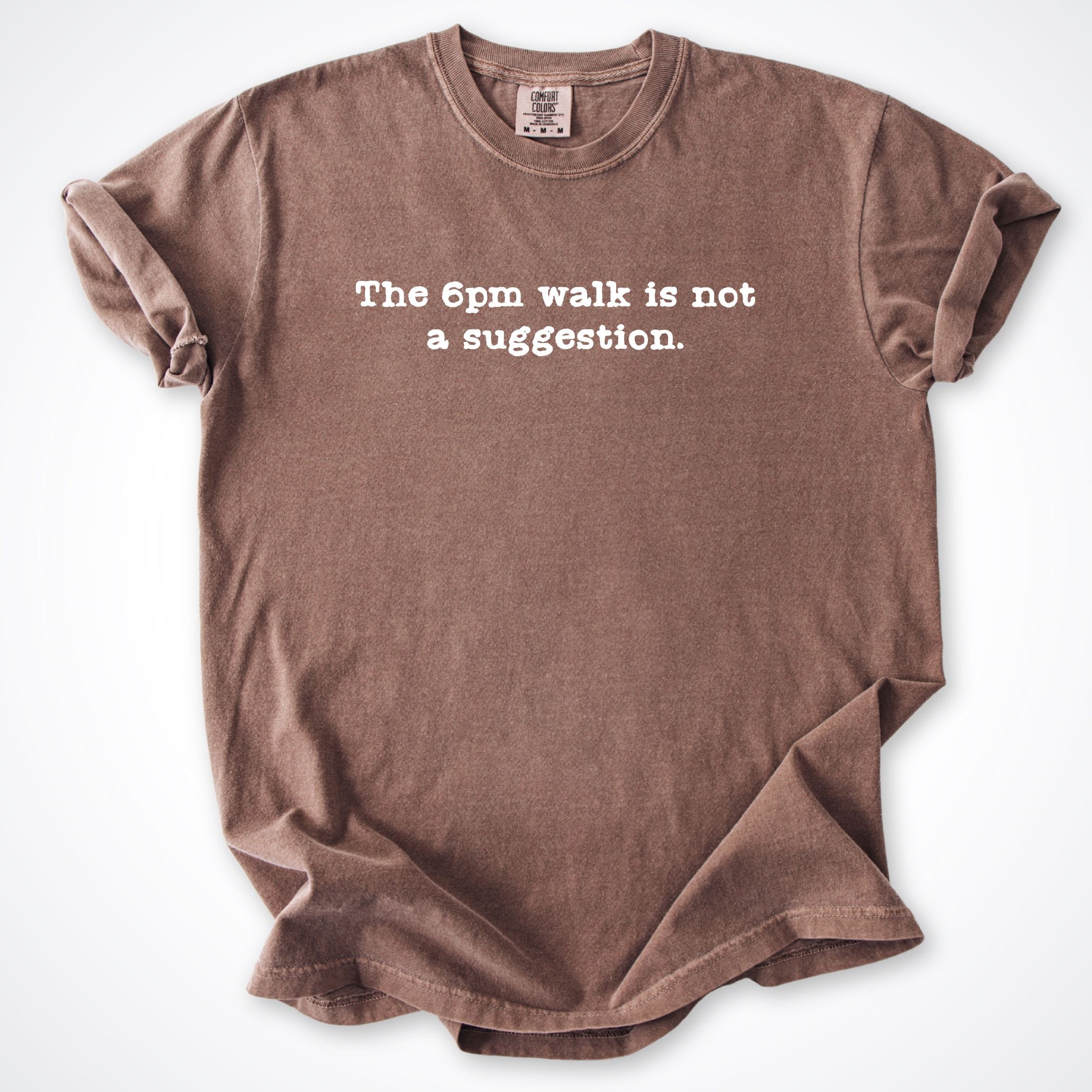 T-Shirt Espresso / S The 6pm Walk Is Not A Suggestion Comfort Colors T-Shirt ReallyintoDogs