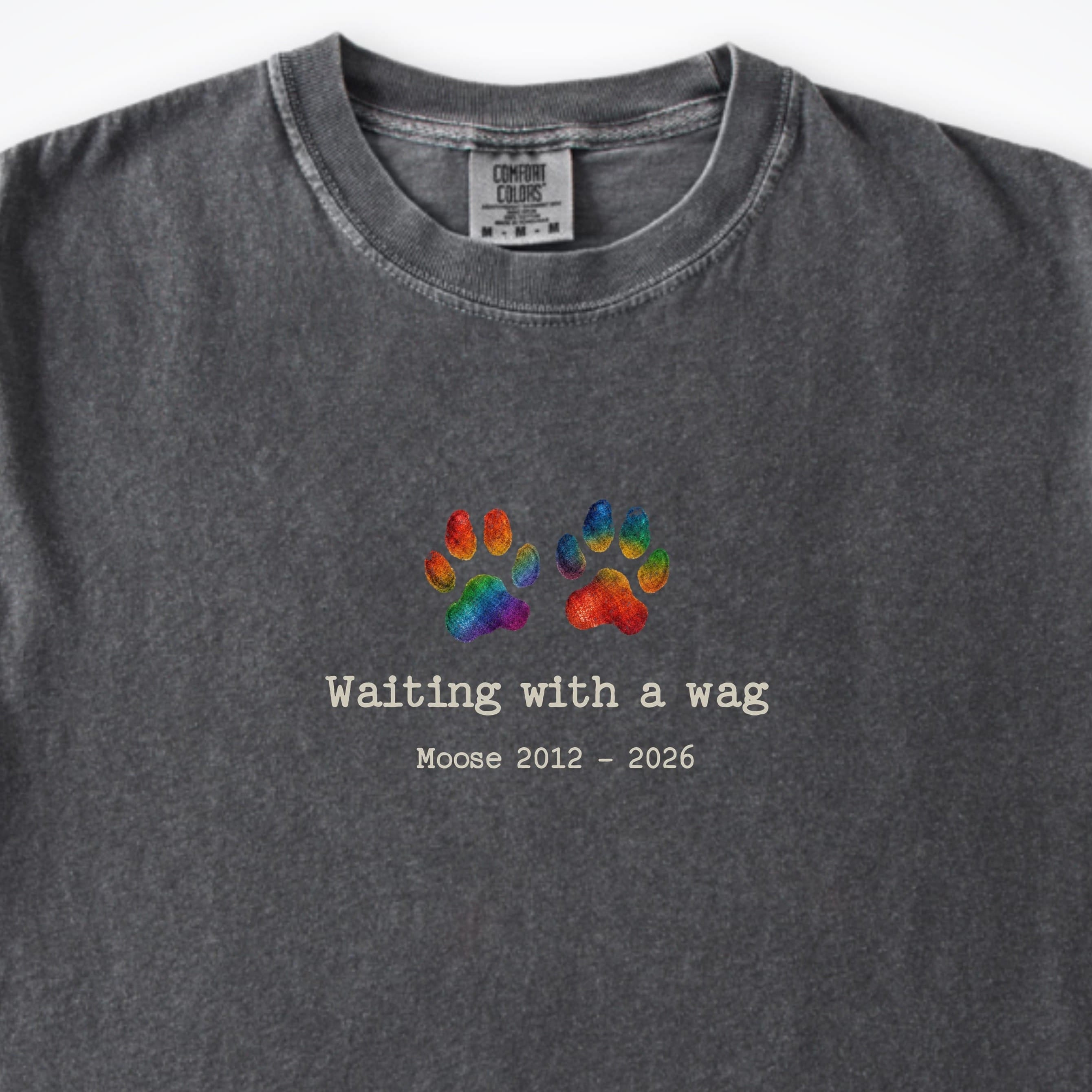 T-Shirt Waiting With A Wag - Personalized Memorial Premium T-Shirt ReallyintoDogs