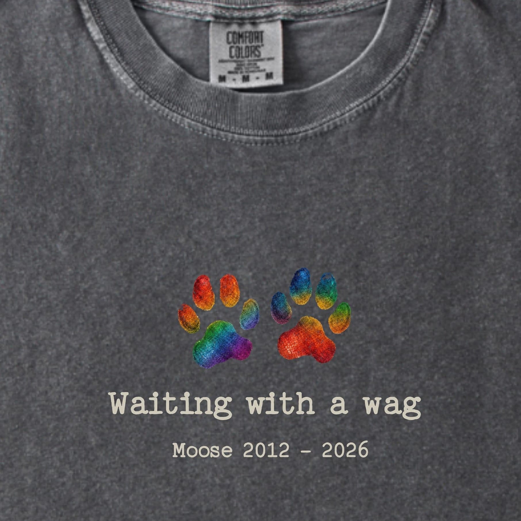 T-Shirt Waiting With A Wag - Personalized Memorial Premium T-Shirt ReallyintoDogs