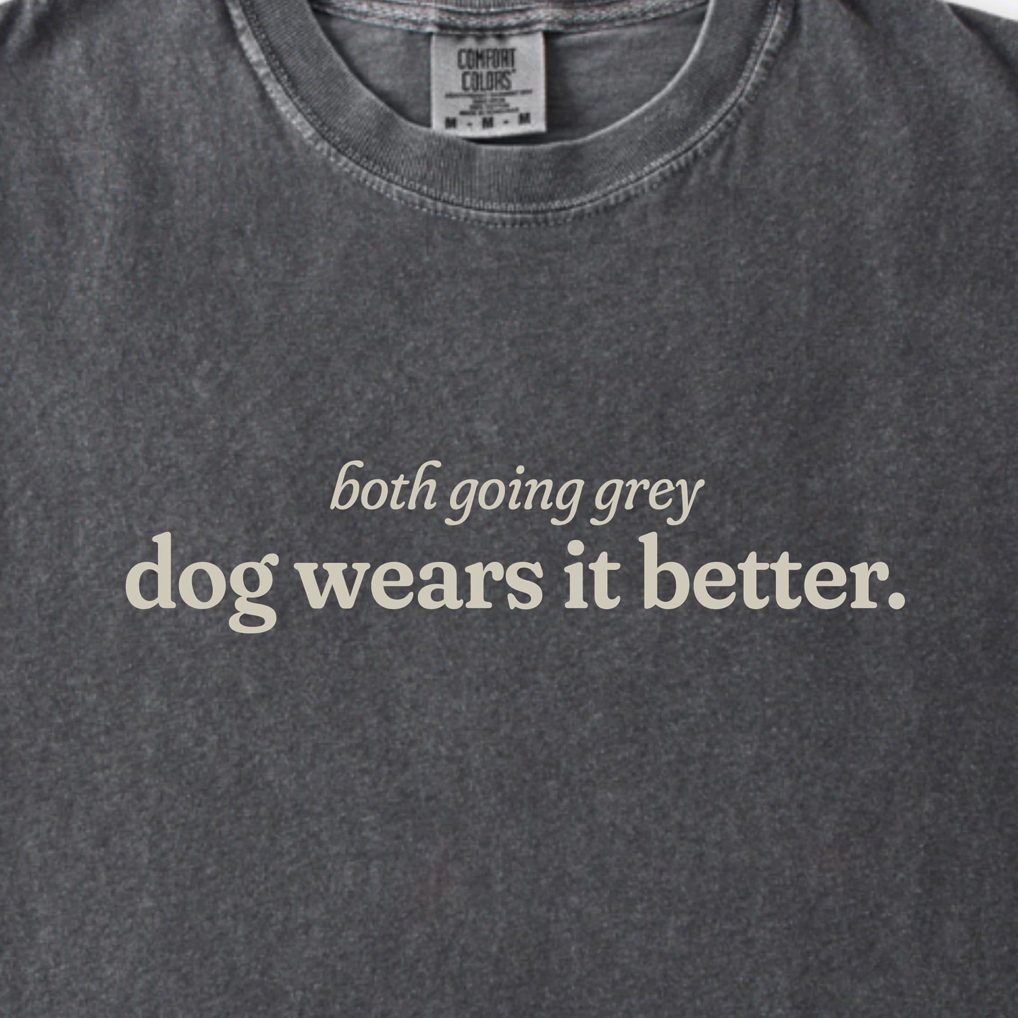 T-Shirt We're Both Going Grey Premium T-Shirt ReallyintoDogs
